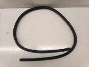 Vordere linke Türdichtungsgummi MERCEDES-BENZ E Cabrio (A207) E 350 CDI