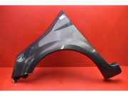 Kotflügel links vorne Renault Modus - Grand Modus (P)