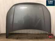 Motorhaube Land Rover Range Rover Evoque I (L538) LR123437