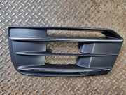 Gitter vorne unten AUDI Q5 (FY) 40 TDi Quattro 80A807681B