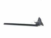 Türgummi rechts vorne BMW 6er Gran Coupe (F06) 7275294