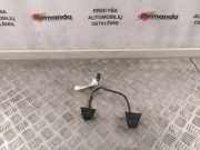 Lenkradknöpfe / -schalter RENAULT MEGANE II Estate (KM0/1_) 1.5 dCi (KM16, KM1E) 255500003