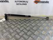 Heckklappendämpfer rechts Subaru Forester (SG)