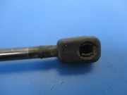 Heckklappendämpfer links Saab 9-3 Cabriolet (YS3D)