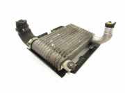 Ladeluftkühler TOYOTA YARIS (_P1_) 1.4 D-4D (NLP10_)