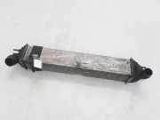 Ladeluftkühler RENAULT LAGUNA III (BT0/1) 2.0 dCi (BT01, BT09, BT12, BT1S) 144960001R