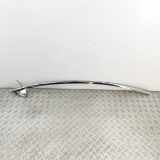Dachleiste links TESLA MODEL X P90D AWD 1032123-00-B