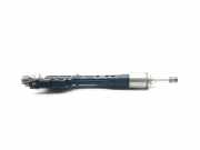 Einspritzdüse BMW 7 (G11, G12) 750 i, Li xDrive 13647639994