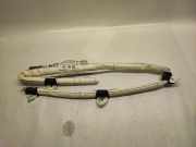 SRS Modul Dach links BMW 4 Gran Coupe (F36) 435 d xDrive 722104512