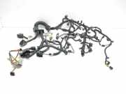 Motor Kabelbaum NISSAN QASHQAI III (J12) 1.3 DIG-T All-wheel Drive