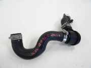 Luftdüsengehäuse Nissan Micra V (K14) 3028024