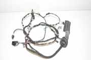Kabel Tür BMW 2er Cabriolet (F23) 9341008