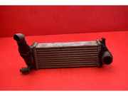 Ladeluftkühler Renault Kangoo II Rapid (FW0) 144963234R