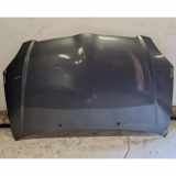 Motorhaube TOYOTA COROLLA Sedan (_E12_) 1.4 VVT-i (ZZE120_)