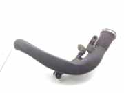 Luftdüsengehäuse Volvo C30 (533) 31293720