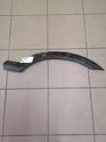 Kotflügelzierleiste hinten rechts OPEL ZAFIRA A (F75_) 2.0 DTI 16V 0090495 090597592