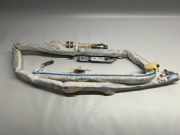 SRS Modul Dach links BMW 7 (F01, F02) 750 i 306349510AJ