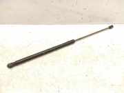 Heckklappendämpfer rechts Ford Focus IV (HN) BM51A406A10AE