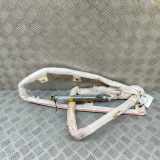 Dach SRS rechts VW SHARAN (7N1, 7N2) 2.0 TDI 7N0880742