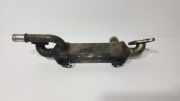 Abgaskühler VW Sharan (7M) 038131513L