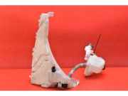 Behälter Scheibenwaschanlage Volvo C70 II Cabrio () 4N5113K163AE