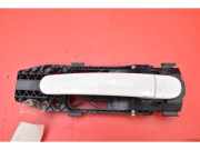 Türgriff rechts hinten VW Tiguan II (AD) 5N0839885H