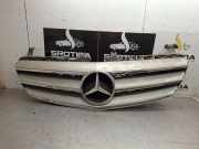 Gitter Grill vorne links MERCEDES-BENZ R (W251, V251) R 280 CDI 4-matic (251.020) A2518800483