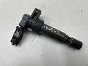 Hochspannungszündkabel (Steckkabel) KIA CARENS II (FJ) 2.0 CVVT 273013C000