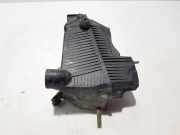 Luftfilterkasten RENAULT KANGOO / GRAND KANGOO (KW0/1_) 1.5 dCi 110 8200808194 165003318R