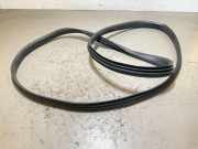 Türdichtung Dacia Duster (HS)