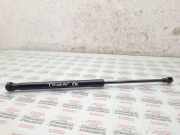 Gasfeder für Motorhaube VW Touran (1T1, 1T2) 1T0823359A