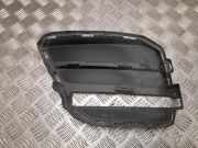 Gitter PORSCHE MACAN (95B) 2.0 95B121333C