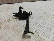 Dichtung für Koffer-/Laderaumklappe Renault Laguna III (T)