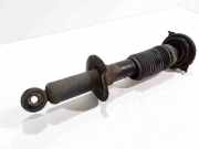 Stoßdämpfer hinten links