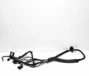 Motor Kabelbaum AUDI Q5 (8R) 3.0 TFSI quattro 8K0971824 8R0971228S
