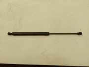Heckklappe Gasdruckfeder links CITROËN C4 III (BA_, BB_, BC_) e-C4 (BCZKXC) 700021037900