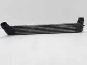 Ladeluftkühler Renault Grand Scenic II (JM) 144964990R