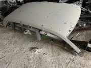 Dach VW TIGUAN (AD1) 1.5 TSI