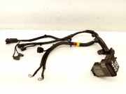 Kabelbaum Kia Rio IV (FB, SC, YB) 91850H8110