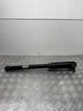 Stoßdämpfer hinten links ALFA ROMEO STELVIO (949_) 2.2 D Q4 005055125900