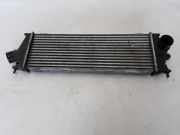 Ladeluftkühler Renault Trafic II Kasten (FL) 8200411160