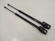 Heckklappendämpfer links Chevrolet Captiva (C100, C140) 96830123