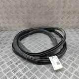 Türgummi links vorne Ford Transit Custom V362 Kasten (FY, FZ) JK21V20709AC