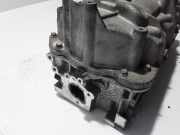 Zylinderkopf Renault Clio III (BR0/1, CR0/1) 8200460196