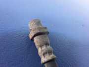 Bremsschlauch rechts vorne BMW X6 (F16, F86) 6887450
