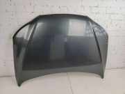Motorhaube HYUNDAI SANTA FÉ III (DM) 2.2 CRDi 4WD