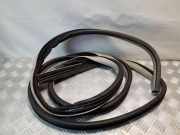 Türdichtung Chrysler Grand Voyager V (RT)