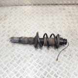 Stoßdämpfer hinten rechts PORSCHE CAYMAN (987) S 3.4 N/A