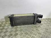 Ladeluftkühler Fiat Scudo Kasten (270) 1498987080