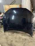 Motorhaube AUDI A4 (8W2, B9) 2.0 TDI